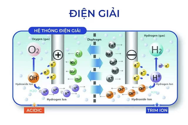 Máy Lọc Nước Trim Ion Neo